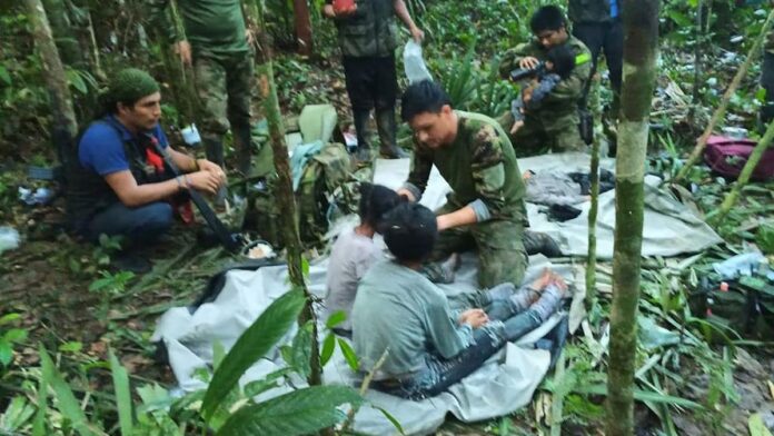 Sobrevivieron comiendo fariña y pepas: niños rescatados en selva colombiana 40 después de sufrir accidente aéreo