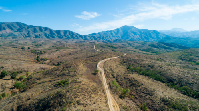 Plantan árboles en la Carretera Internacional que divide el país de Haití