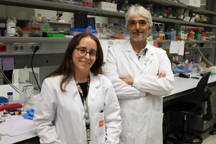 La carencia de una proteína, nuevo biomarcador de mal pronóstico para los gliomas