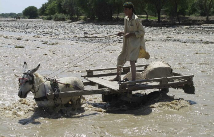 Al menos 27 muertos y 146 heridos por fuertes lluvias en Pakistán