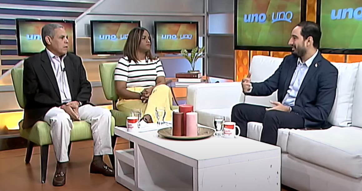 1689953229 437 ¿Minou Tavarez Mirabal seria candidata a senadora tras alianza con