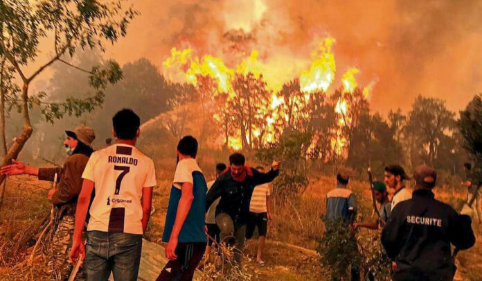 Al menos 34 personas murieron en incendios forestales en el noreste de Argelia