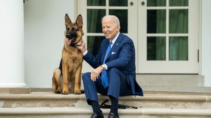 “Commander”, el perro de Biden ha mordido a varios agentes del servicio secreto