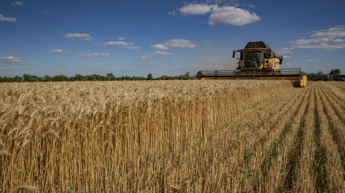 Confirman retiro inmediato de Rusia de acuerdo para exportar cereales