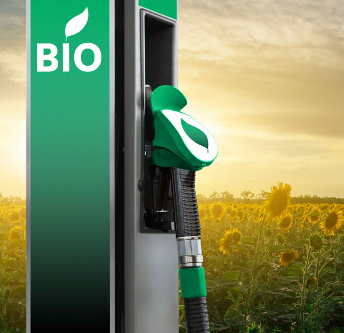 Expertos destacan el biocombustible como clave para la transición energética en América
