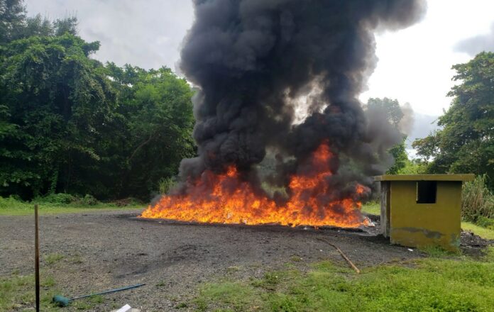 La Procuraduría quema más de 1,300 kilogramos de drogas