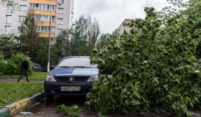 Nueve muertos en Rusia tras fuertes vientos en una zona de acampada para turistas
