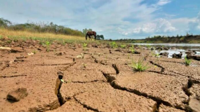 Predicen El Niño se prolongará hasta los meses de invierno en el hemisferio norte