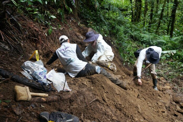 Recuperan cuatro cuerpos de posibles víctimas del conflicto armado en centro de Colombia