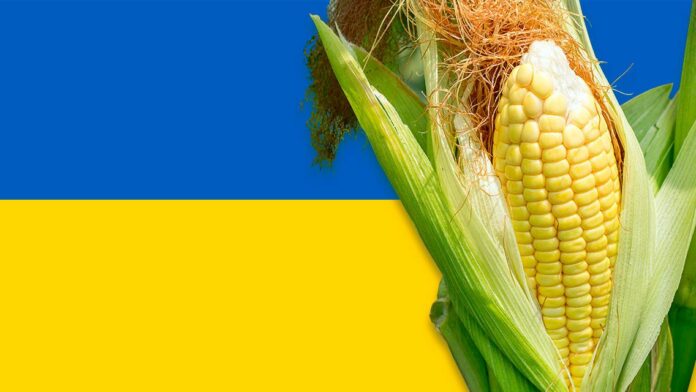 Ucrania dice que Rusia pone en peligro la seguridad alimentaria y buscará seguir exportando grano