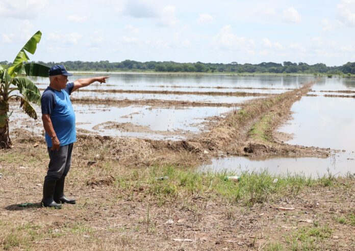 Parceleros y ganaderos piden ayuda al presidente  Abinader