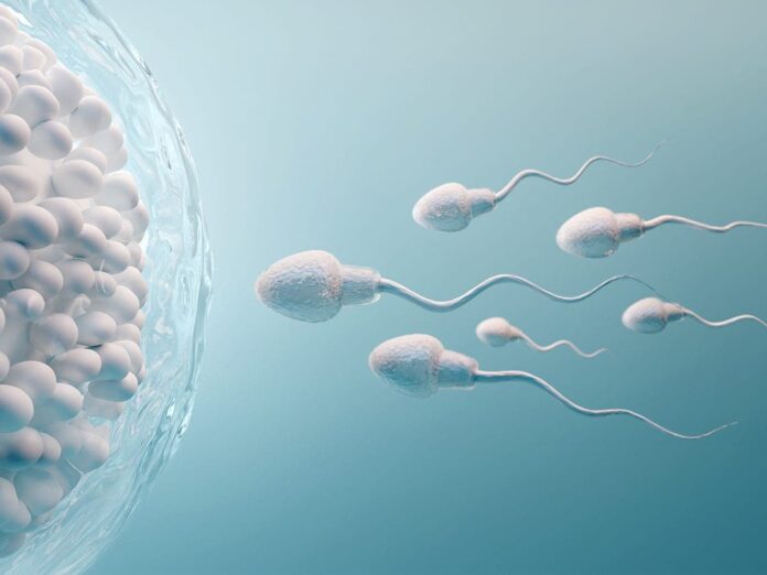 Donante de esperma busca a sus 96 hijos biológicos