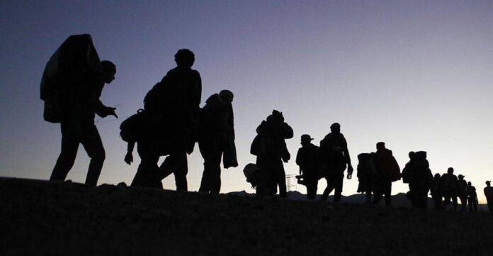 ONG denuncian que más de 1.800 migrantes están desaparecidos en México