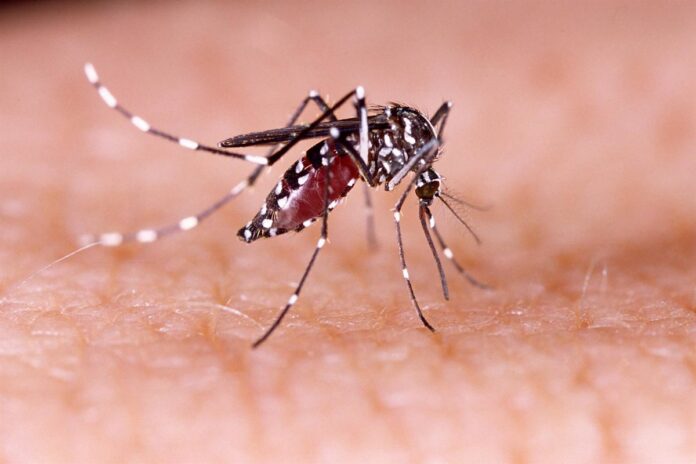 Bangladesh supera su récord anual de casos de dengue con más de 100.000 infecciones