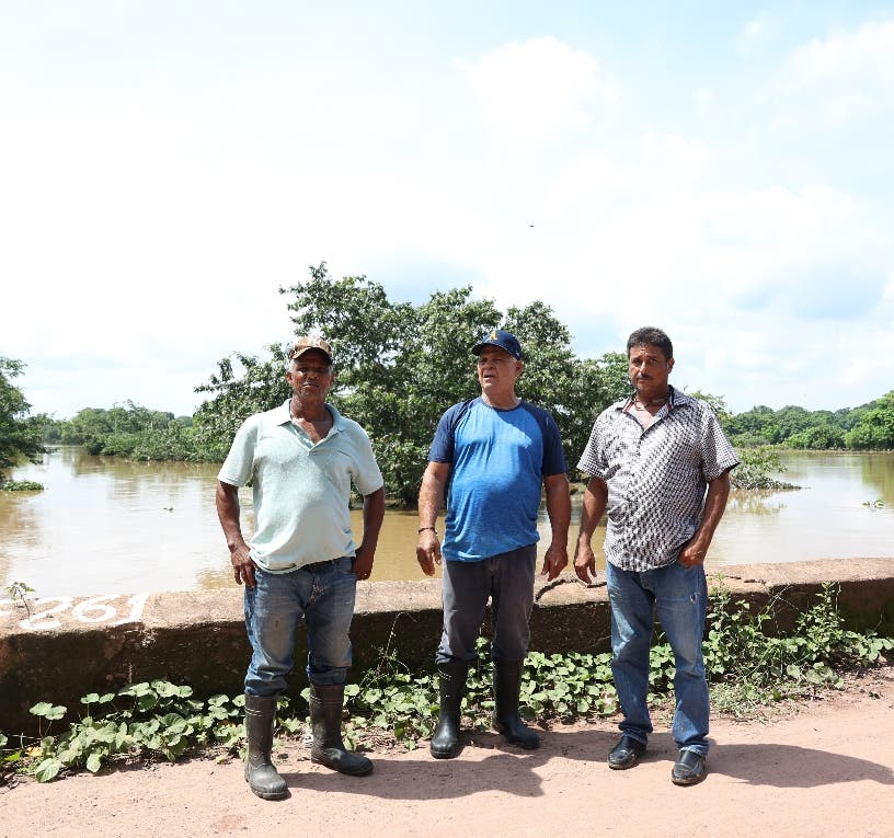 Parceleros y ganaderos piden ayuda al presidente Abinader