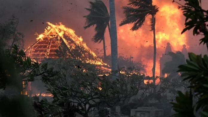 Un video reveló la causa más probable de los incendios que dejaron más de 100 muertos en Maui