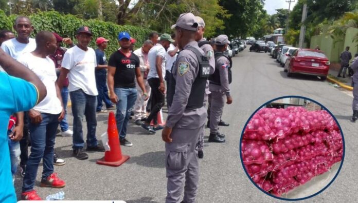 ¡Cebolleros con el grito al cielo! Dicen Agricultura les debe más de RD$ 300 MM