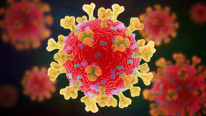 Pirola, la variante BA.2.86 del coronavirus sería menos contagiosa de lo que se creía