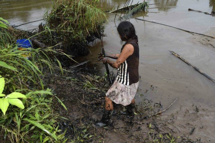 Alertan riesgos para el medioambiente si se extrae petróleo en una reserva peruana