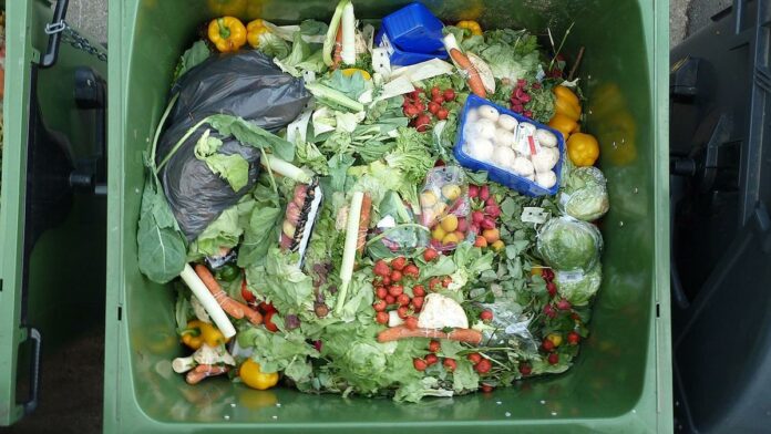 Banco de Alimentos insta al Gobierno a adoptar una ley que evite el desperdicio de comida
