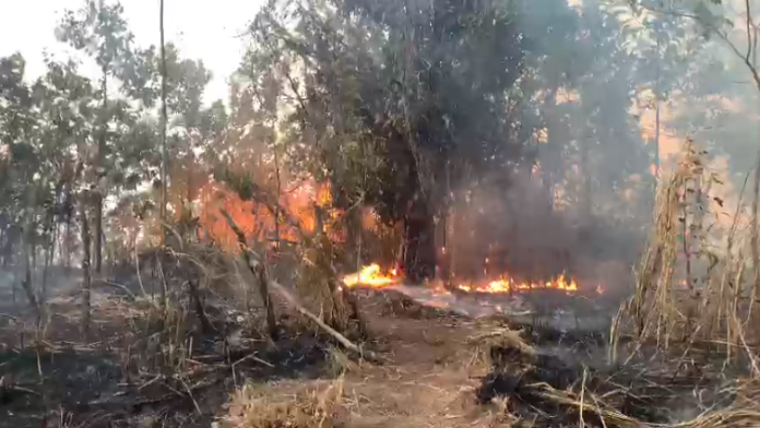Bomberos forestales tratan de controlar incendio en área recreativa Loma Guaigüí, La Vega