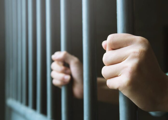 Condenan dos hombres a 18 años de prisión por tráfico de 44 plantas de marihuana