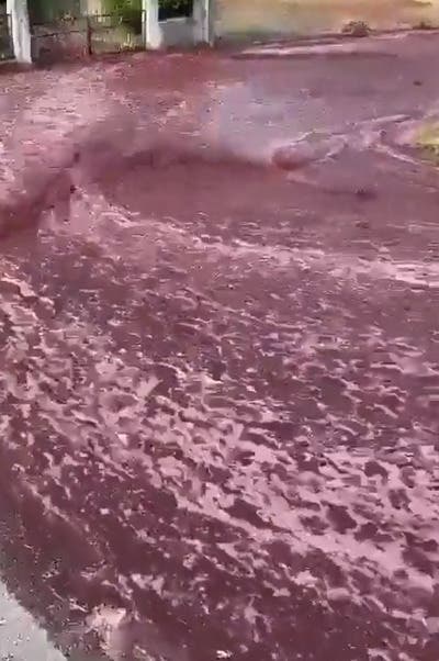 Dos millones de litros de vino tinto inundaron las calles