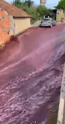 Dos millones de litros de vino tinto inundaron las calles