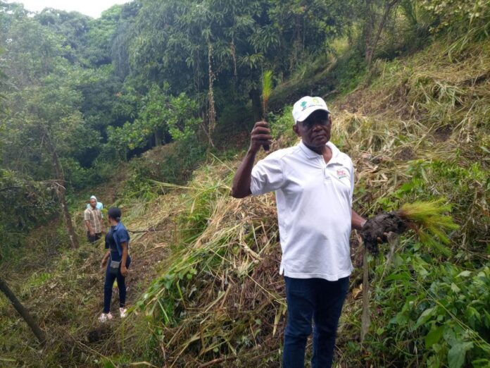 República Dominicana será sede de cumbre del Fondo de Adaptación al Cambio Climático