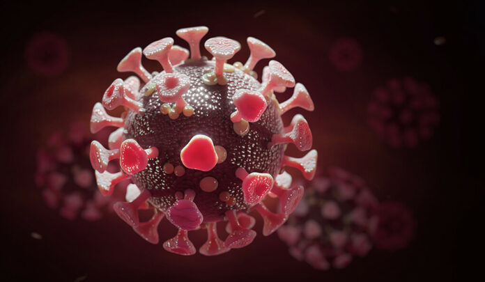 Salud Pública notifica 161 nuevos casos de coronavirus en la última semana