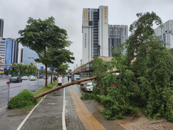 Tifón Saola habría causado daños menores tras tocar tierra en el sur de China
