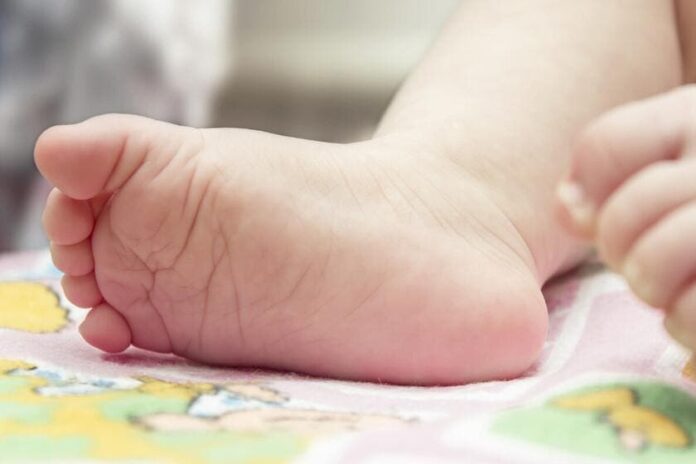 ¿De qué murieron los recién nacidos hallados frente a cementerio Cristo Salvador?