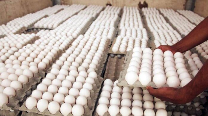 Abel plantea 5 medidas para rescatar a productores de huevos