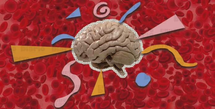 Científicos crean un «atlas» de células cerebrales que permitirá curar trastornos mentales