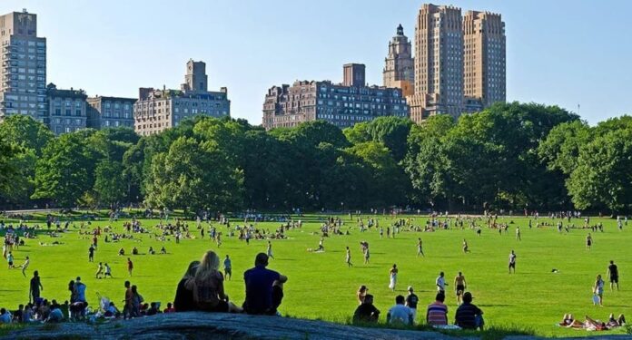 Dominicanos Alto Manhattan se proponen asistir a evento con mil drones en Central Park