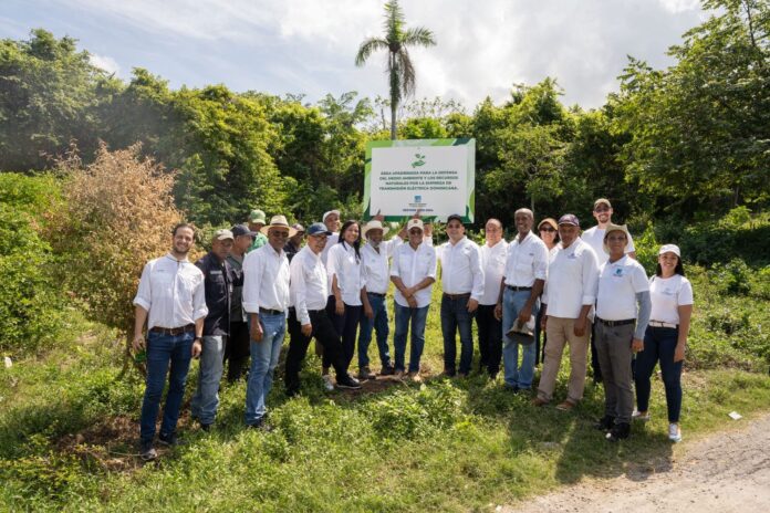 ETED restaura área protegida de Loma Isabel de Torres con más de 800 plantas