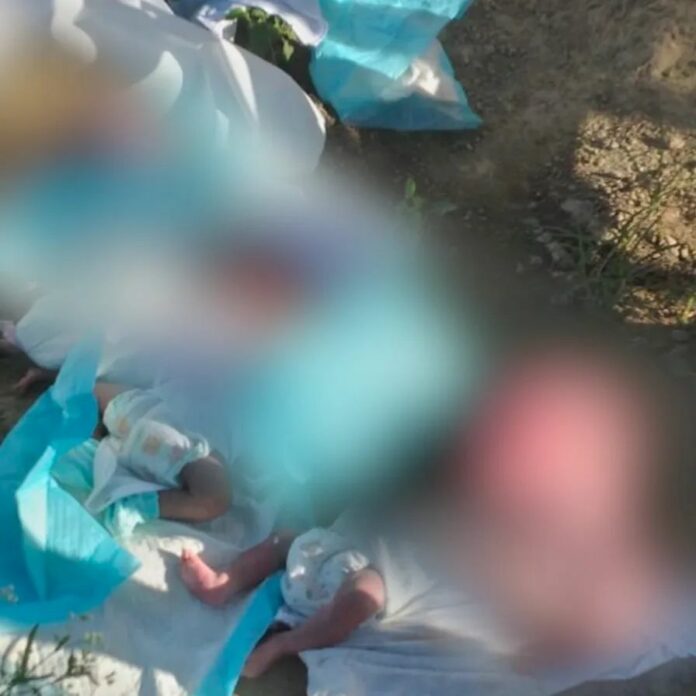 Encuentran seis bebés muertos frente al cementerio Cristo Salvador