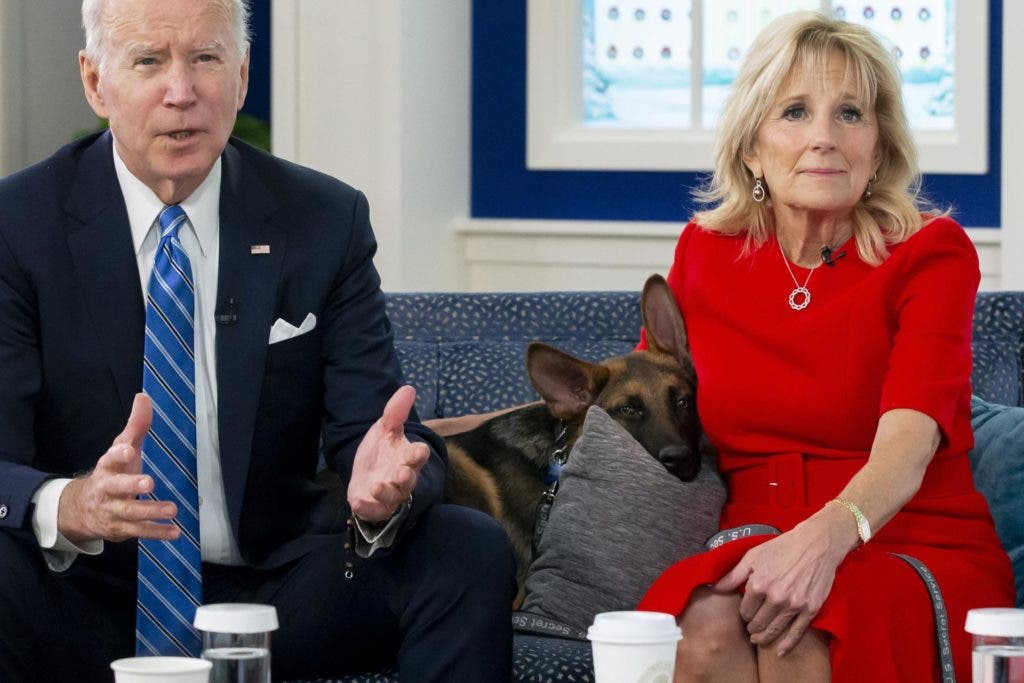 Expulsan al perro de los Biden de la Casa Blanca