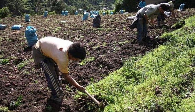 FAO pide politicas de Estado contra la inseguridad alimentaria en