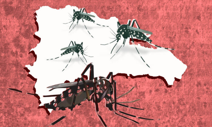 Se elevan a 13 las muertes por dengue y los casos sospechosos se acercan a 14,100