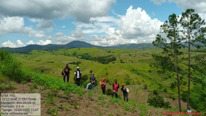 Siembran  74,000 árboles en el área de la cuenca Artibonito
