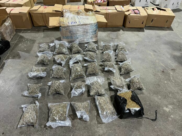 Autoridades incautan 39 paquetes de marihuana se enviarían a Puerto Rico