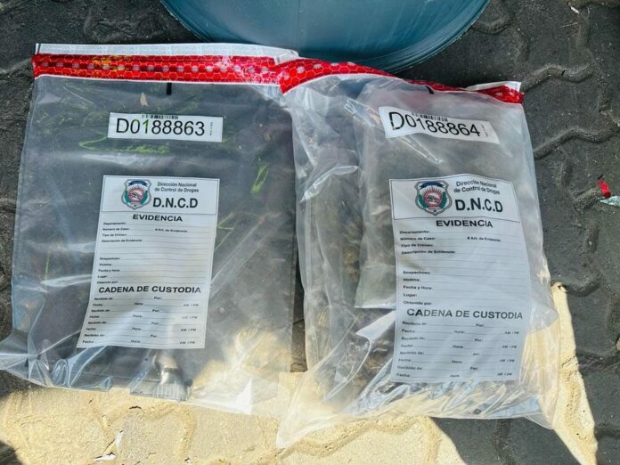 Autoridades incautan tres paquetes de marihuana y una pistola en tanque de comida; apresan uno