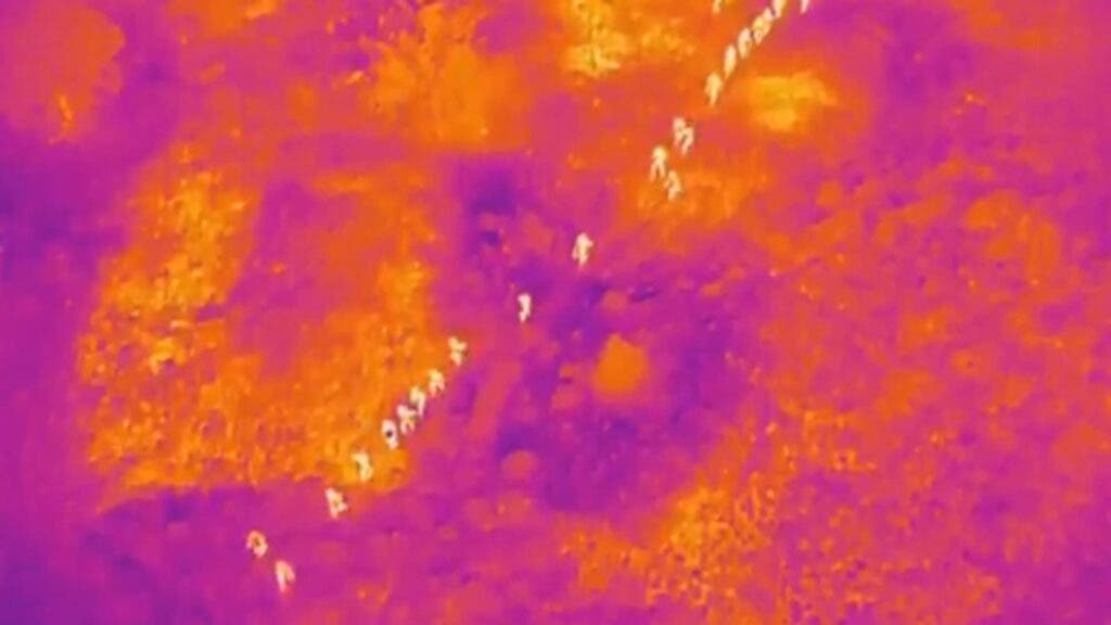 Cesfront detiene a casi 500 haitianos indocumentados en Dajabon