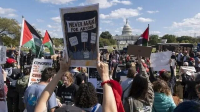 Ocupan oficinas de varios senadores de EE.UU. para pedir alto el fuego en Gaza