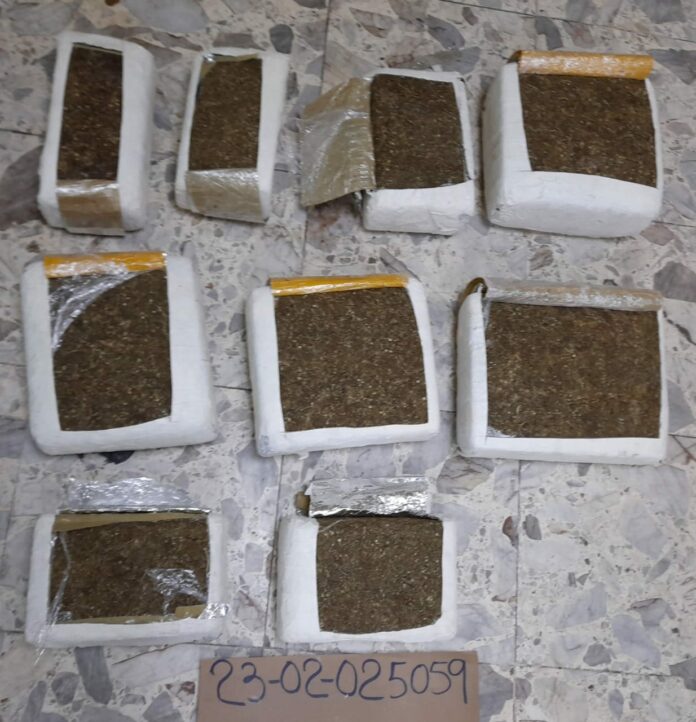 Autoridades arrestan conductor con 66 libras de marihuana en Azua