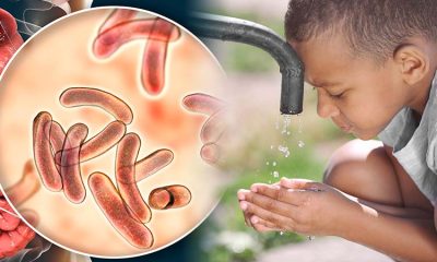 1703684532 297 Conoce las epidemias y pandemias que han asustado terriblemente al