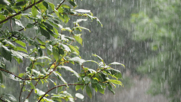 COE mantiene en alerta a 25 provincias por lluvias
