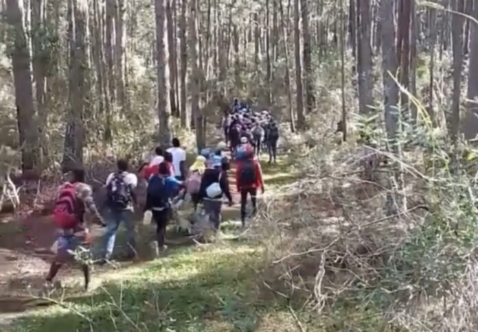 Captan a haitianos ingresando ilegalmente a territorio dominicano