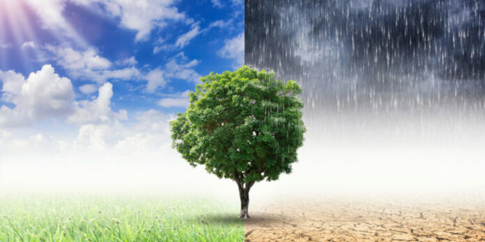 El agua y la alimentación en el contexto del cambio climático serán tratados en la COP28